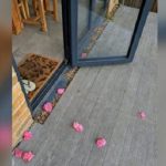 A nő állandóan rózsaszínű virágszirmokat talált az ajtaja előtt: mikor leleplezte titkos hódolóját, hatalmasat sikított