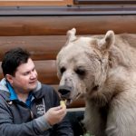 Ez az orosz házaspár egy 136 kilós medvével él együtt: a videó bemutatja, hogyan esznek, tévéznek és játszanak közösen