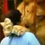 A hatalmas oroszlán a nő nyakába ugrik, ám a hölgy mindezt végtelen nyugalommal fogadja: jó oka van rá